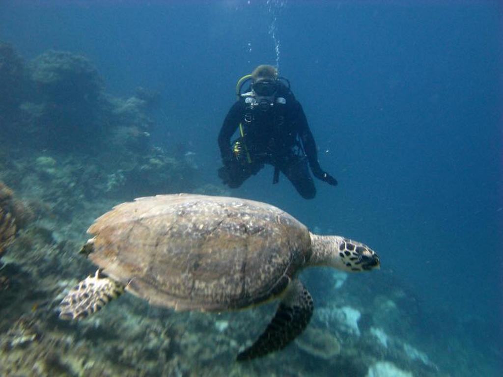Seribu Resort Thousand Island Kepulauan Seribu ภายนอก รูปภาพ