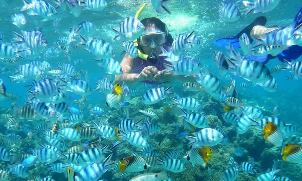 Seribu Resort Thousand Island Kepulauan Seribu ภายนอก รูปภาพ